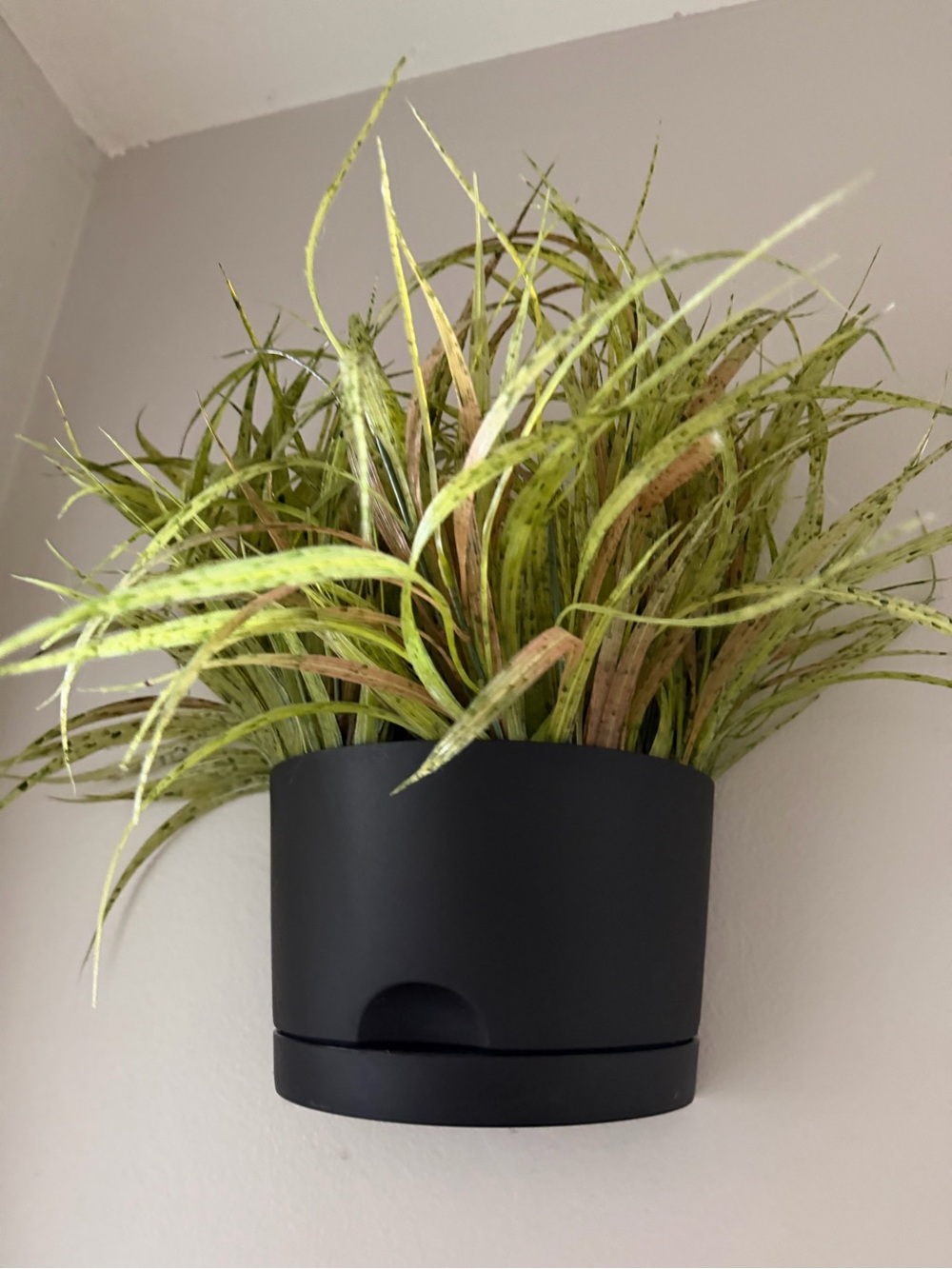sleek plastic self-watering planter pot saucer matching set home decor wall blck
